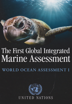 UN World Oceans Assessment 1